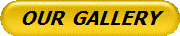 OUR  GALLERY